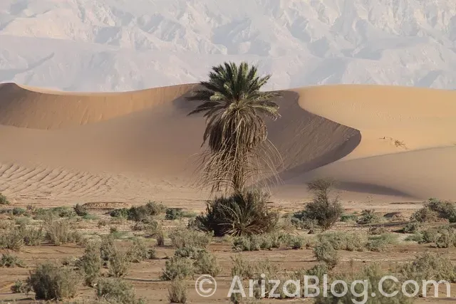 Araba gösterge işaretleri