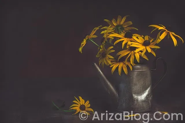 Araç ikaz ışıkları Araç ikaz ışıkları