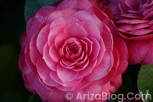 Ariston bulaşık makinesi arızaları