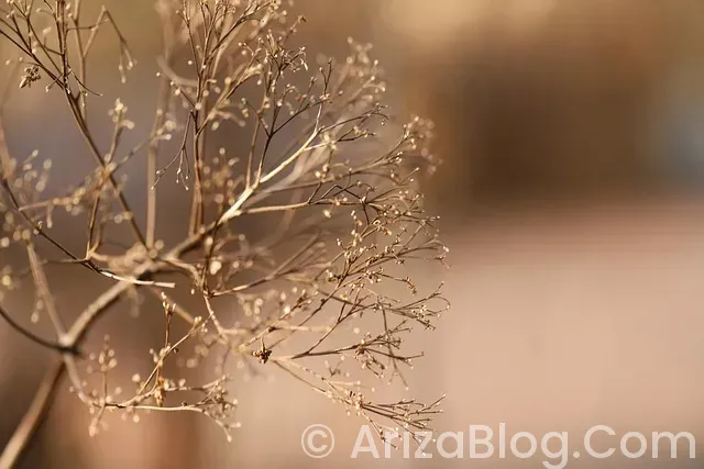 Ariston bulaşık makinesi arızaları