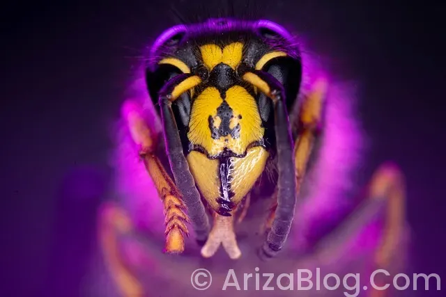 Ariston bulaşık makinesi arızaları