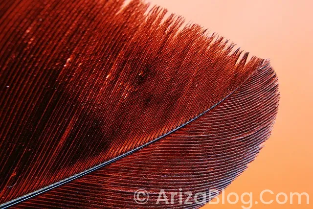 Arıza işaretleri Arıza işaretleri