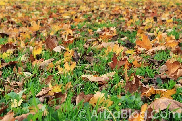 Dalgakıran kompresör arıza kodları