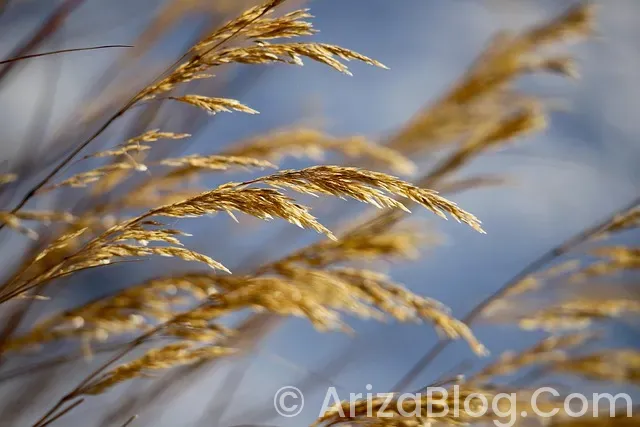Hava yastığı ışığı yanıyor muayeneden geçermi Hava yastığı ışığı yanıyor muayeneden geçermi