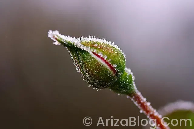 Hava yastığı lambası yanıyor Hava yastığı lambası yanıyor