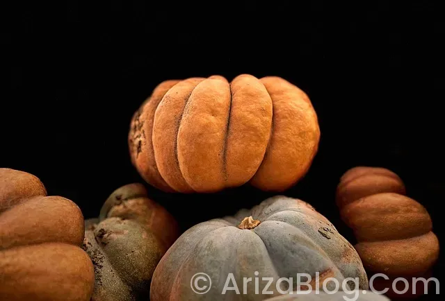 Hava yastığı lambası yanıyor Hava yastığı lambası yanıyor