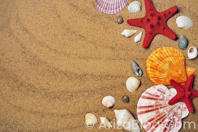 Hotpoint ariston bulaşık makinesi arıza kodları