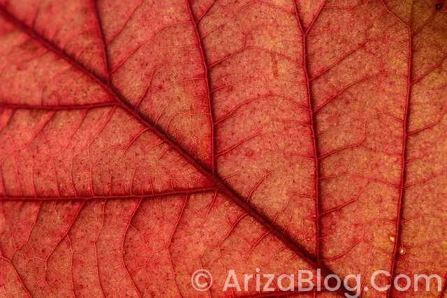 Hotpoint ariston bulaşık makinesi arıza kodları