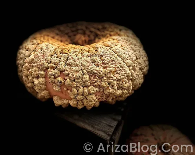 Hotpoint ariston bulaşık makinesi arıza kodları