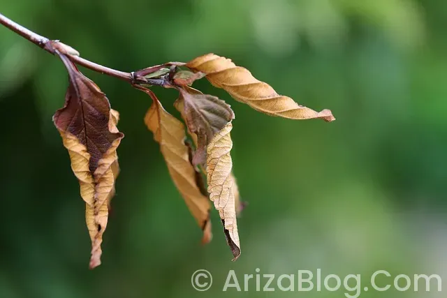 Hotpoint ariston bulaşık makinesi arıza kodları