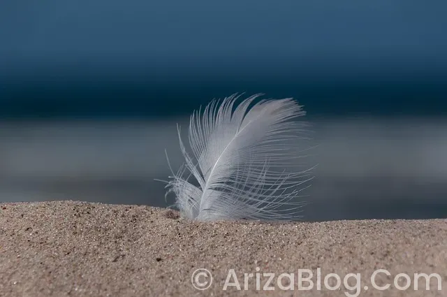 İnoksan fırın arıza kodları İnoksan fırın arıza kodları