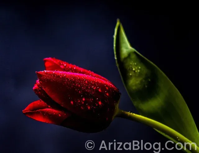 Qashqai arıza lambaları Qashqai arıza lambaları