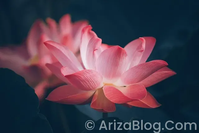 Qashqai arıza lambaları Qashqai arıza lambaları