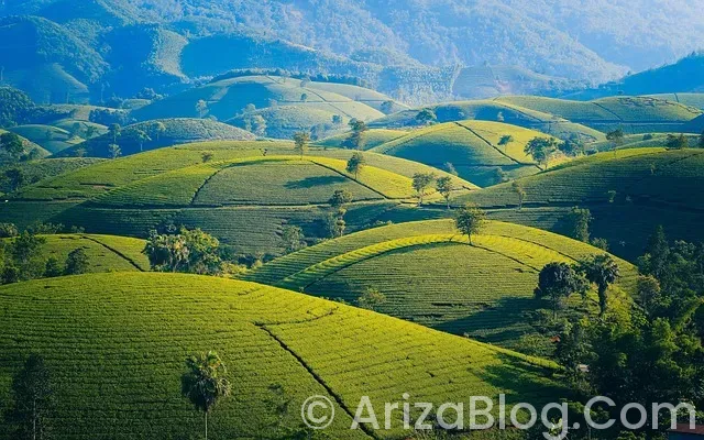 Qashqai arıza lambaları Qashqai arıza lambaları