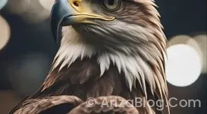 Samsung klima üzerindeki işaretlerin anlamı