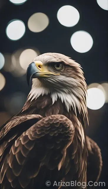 Samsung klima üzerindeki işaretlerin anlamı Samsung klima üzerindeki işaretlerin anlamı