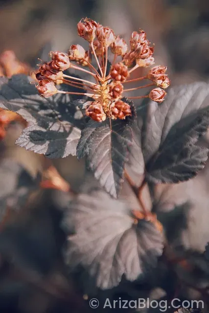 Sigma klima f6 arızası Sigma klima f6 arızası