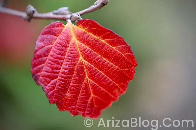 Termoking ariza kodlari Termoking ariza kodlari
