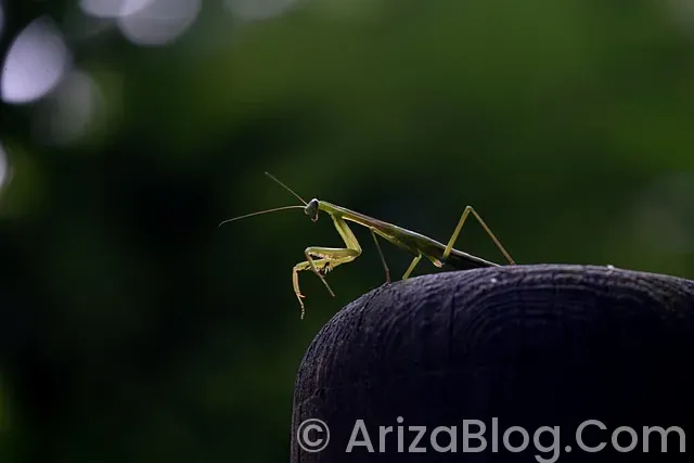 Termoking ariza kodlari Termoking ariza kodlari